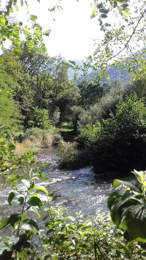 Le 102, T3 Pour 5 Personnes, Vue Montagne, Classe 2 Etoiles Nf, Parking, Piscine En Ete Bagnères-de-Luchon Dış mekan fotoğraf