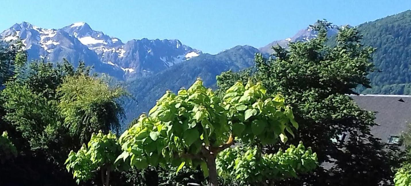 Le 102, T3 Pour 5 Personnes, Vue Montagne, Classe 2 Etoiles Nf, Parking, Piscine En Ete Bagnères-de-Luchon Dış mekan fotoğraf